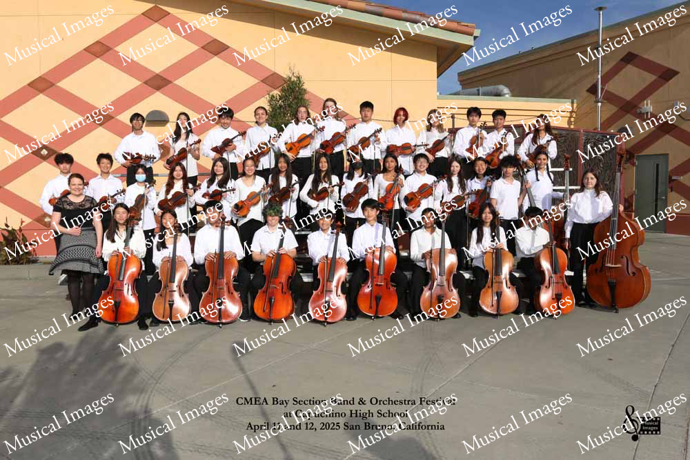 Musical Images